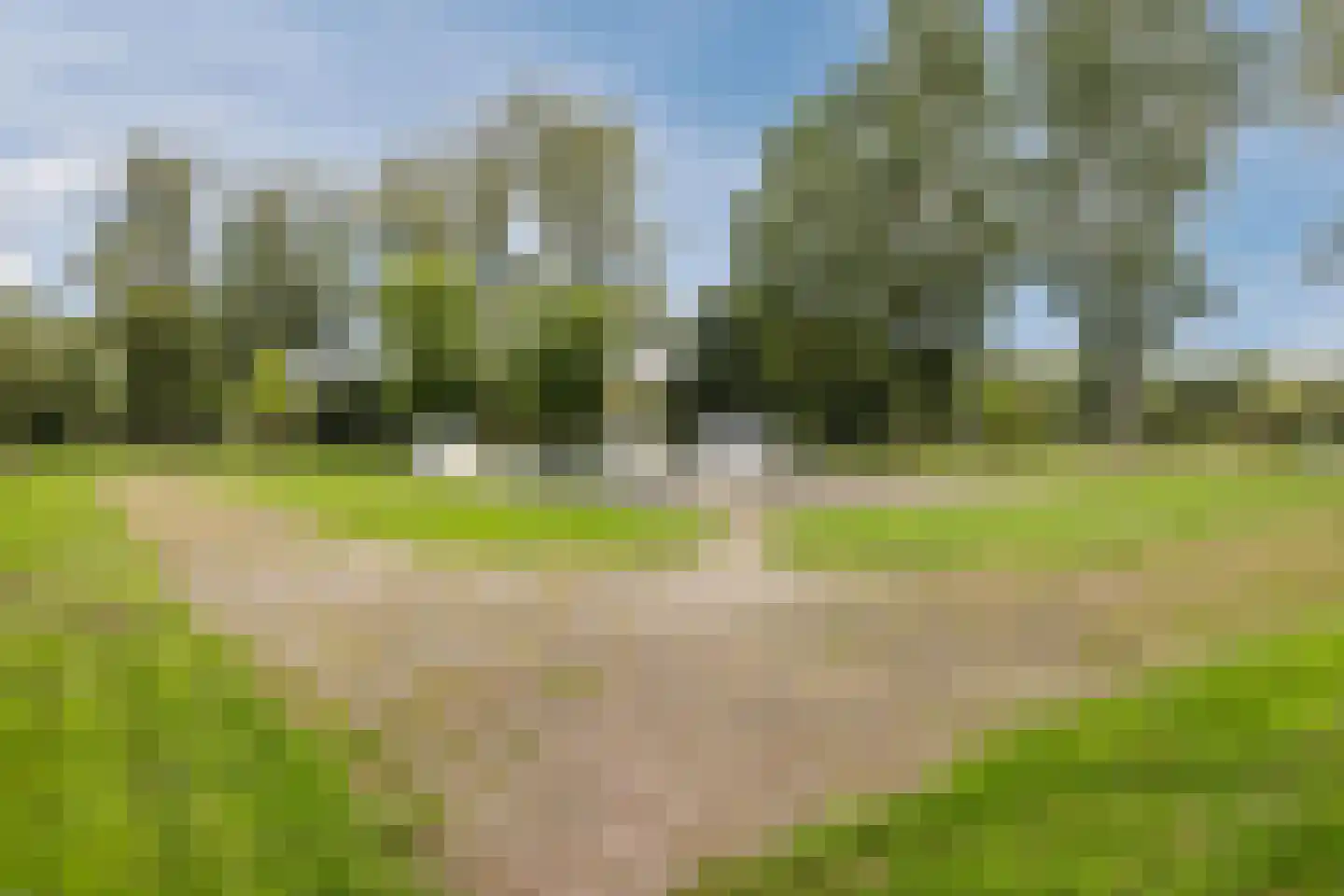 Kriekelaar 37 Geldrop thumbnail 47