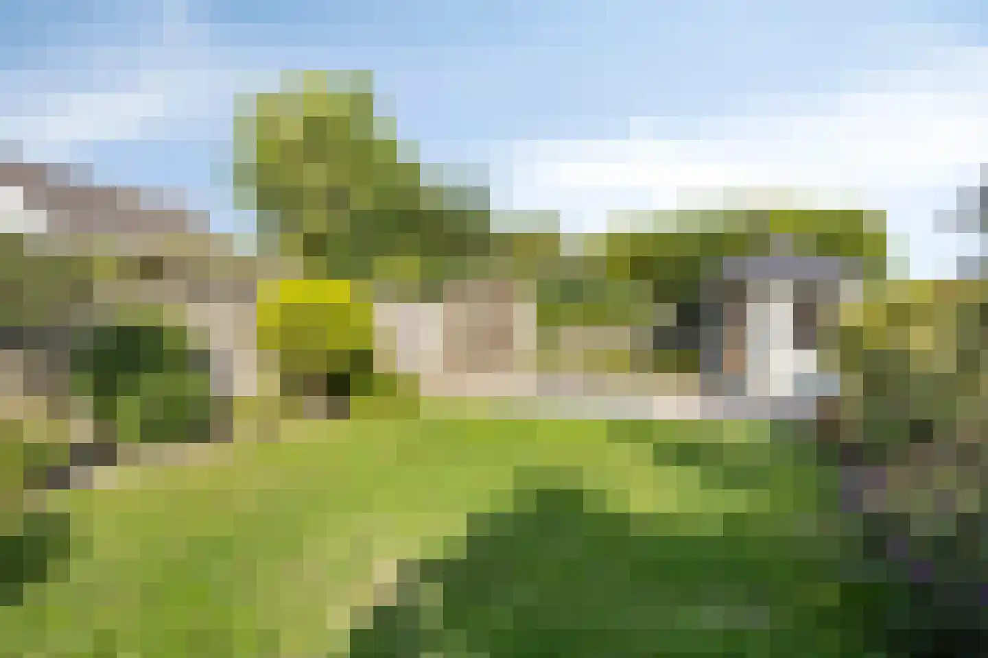 Kriekenakker 64 Moergestel thumbnail 28