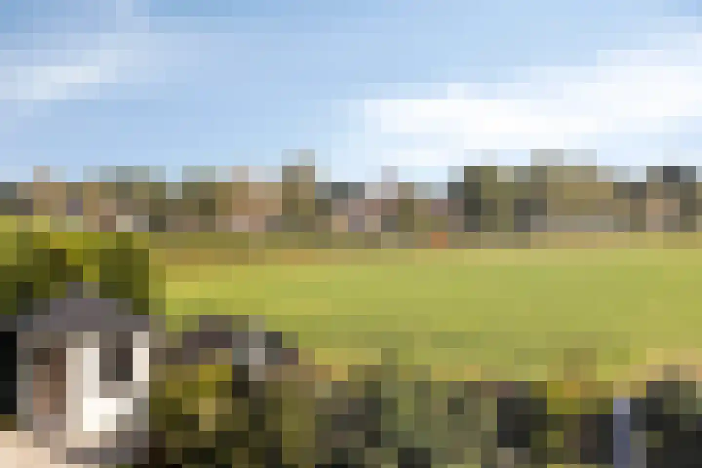 Kriekenakker 64 Moergestel thumbnail 33