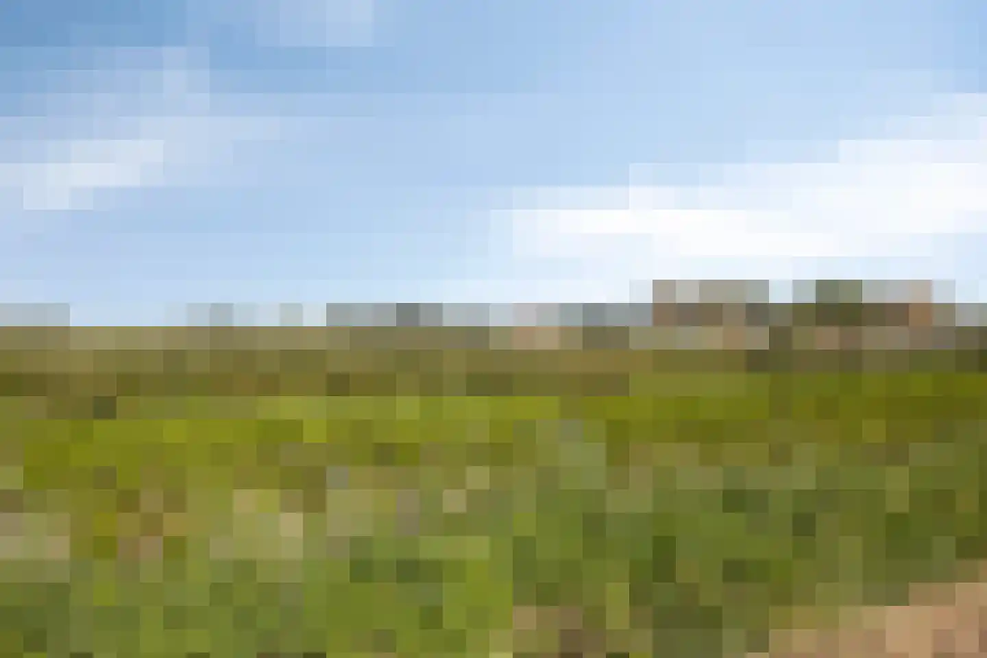 Kriekenakker 64 Moergestel thumbnail 35