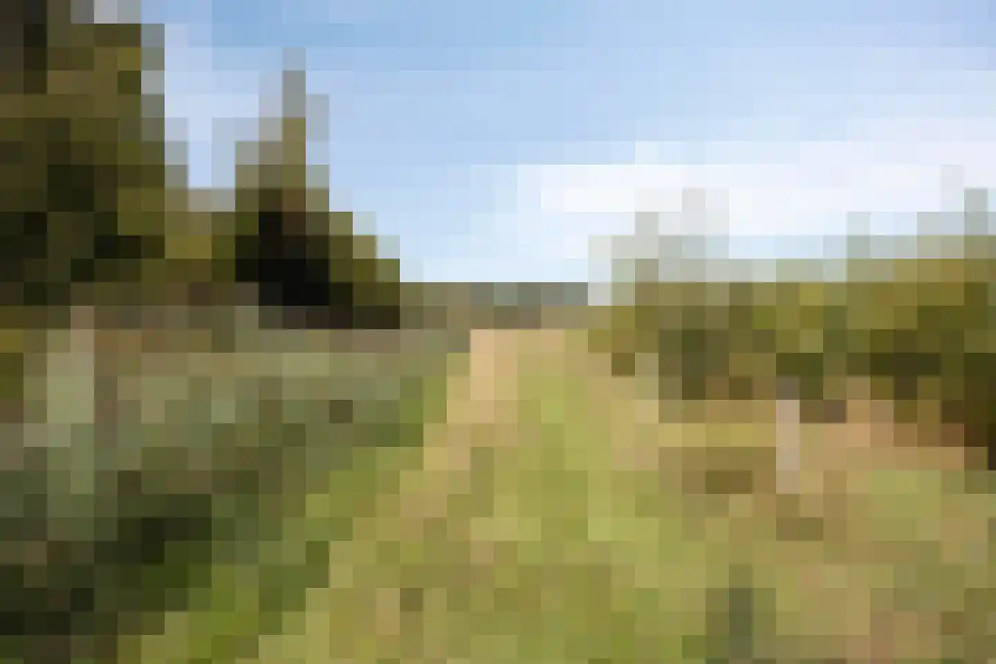 Kriekenakker 64 Moergestel thumbnail 37
