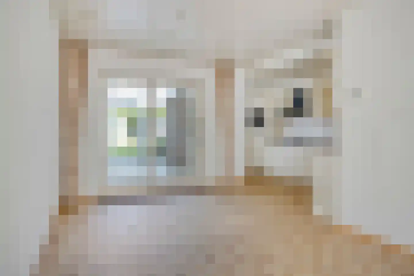 Kriekenakker 64 Moergestel thumbnail 8