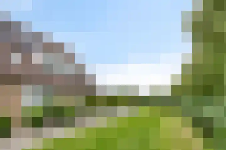 Kriekenbogerd 22 Nieuw-Beijerland thumbnail 22