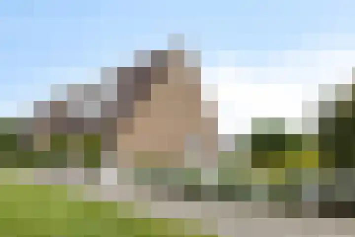 Kriekenbogerd 22 Nieuw-Beijerland thumbnail 23