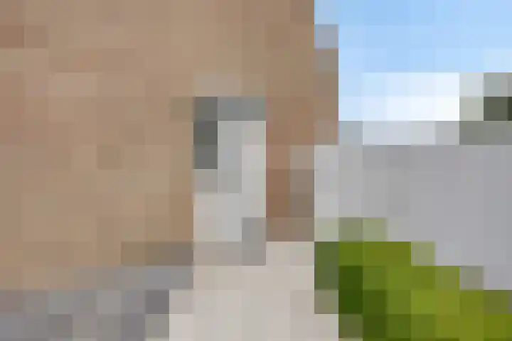 Kriekenbogerd 22 Nieuw-Beijerland thumbnail 24