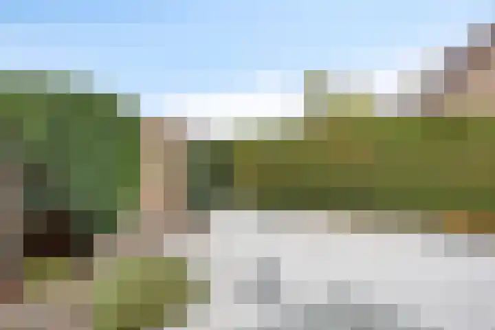 Kriekenbogerd 22 Nieuw-Beijerland thumbnail 25
