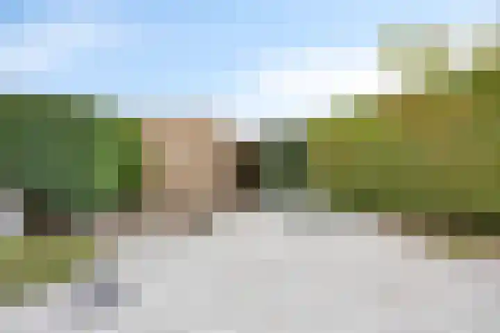 Kriekenbogerd 22 Nieuw-Beijerland thumbnail 26