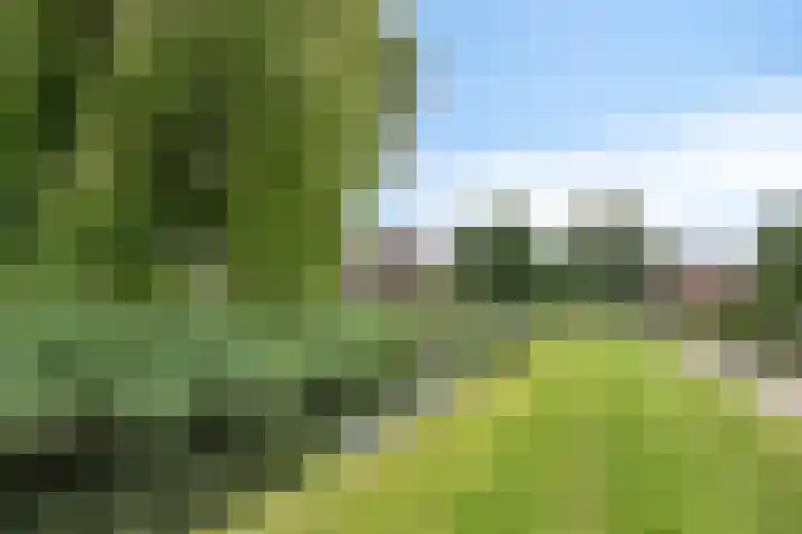 Kriekenbogerd 22 Nieuw-Beijerland thumbnail 5