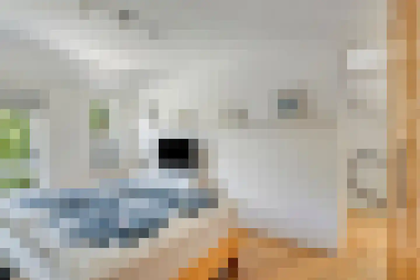 Kriekengaarde 58 Houten thumbnail 16