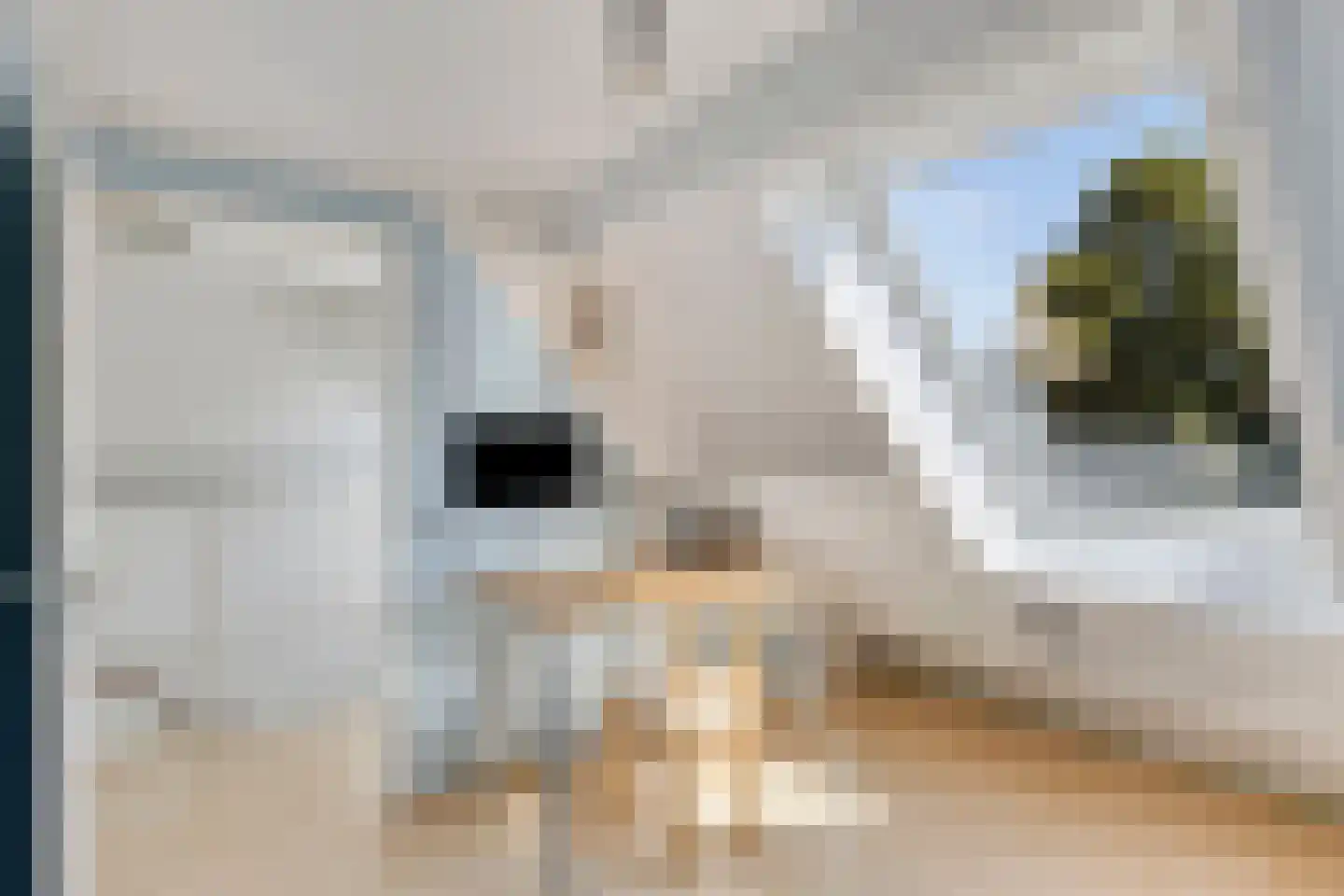 Kriekengaarde 58 Houten thumbnail 27