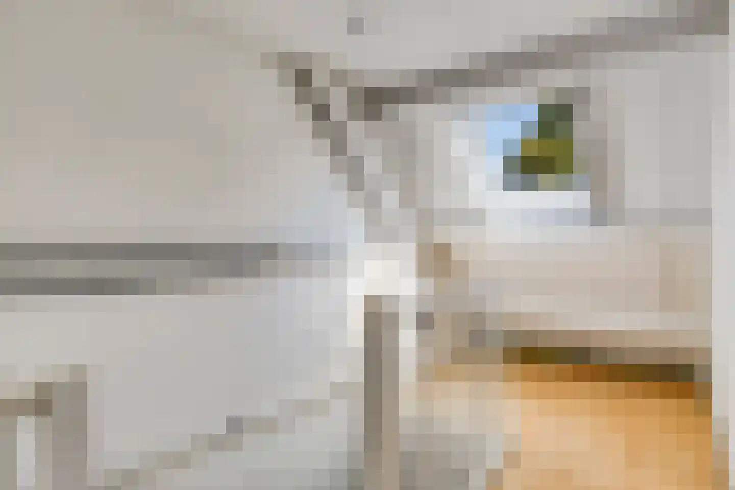 Kriekengaarde 58 Houten thumbnail 28