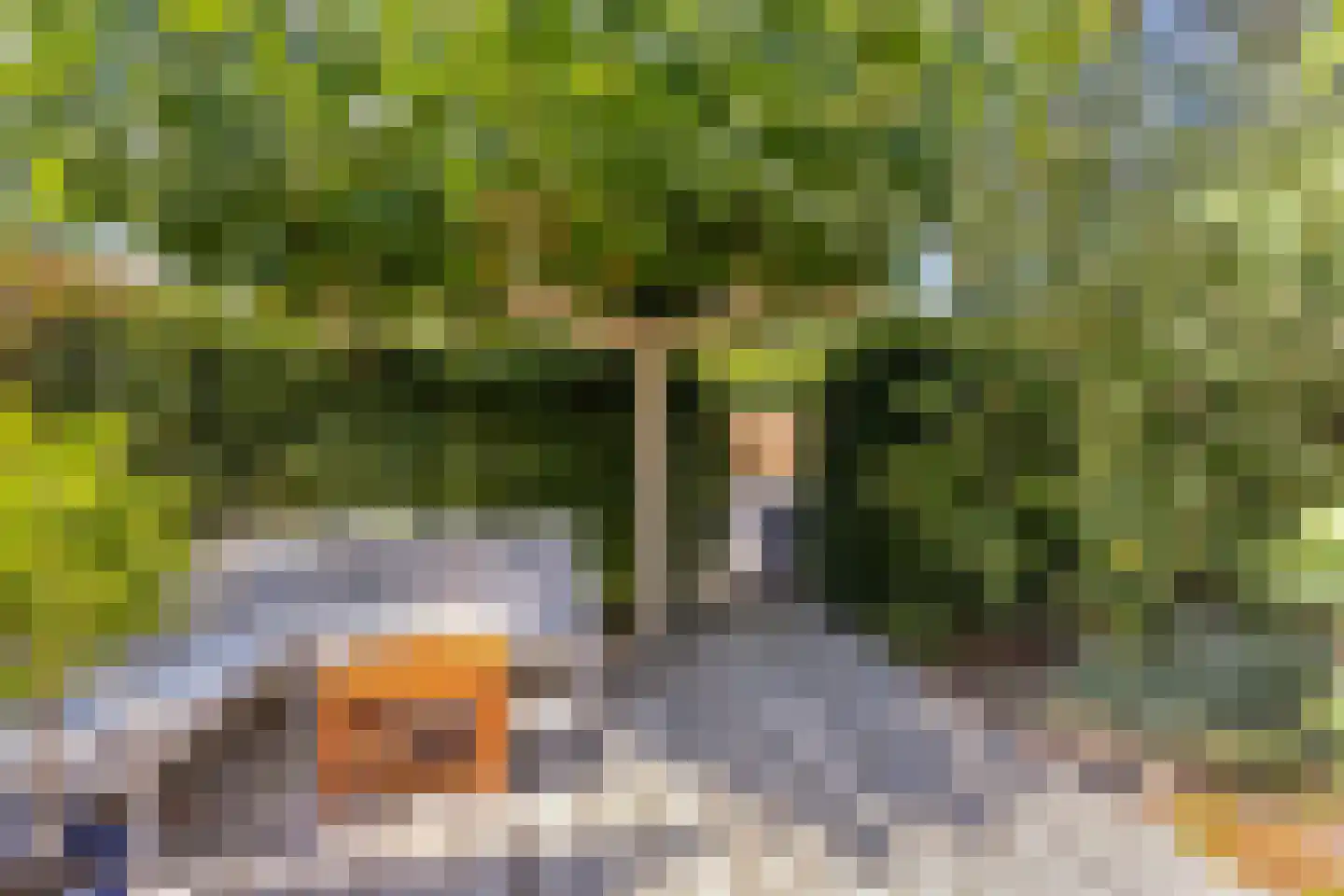 Kriekengaarde 58 Houten thumbnail 35