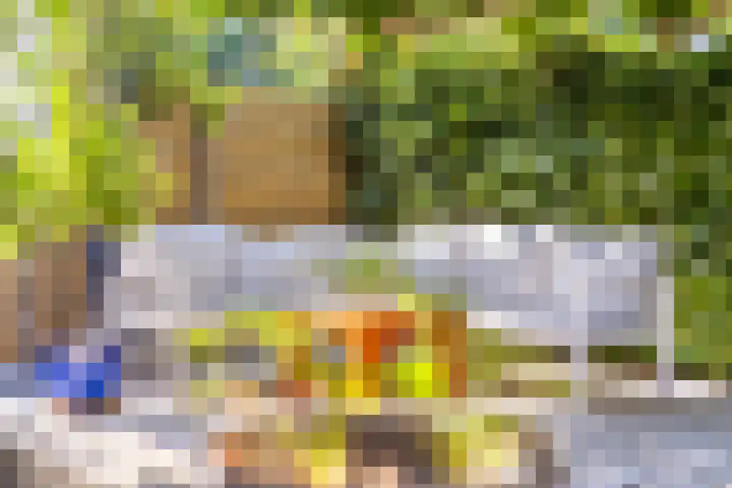 Kriekengaarde 58 Houten thumbnail 36