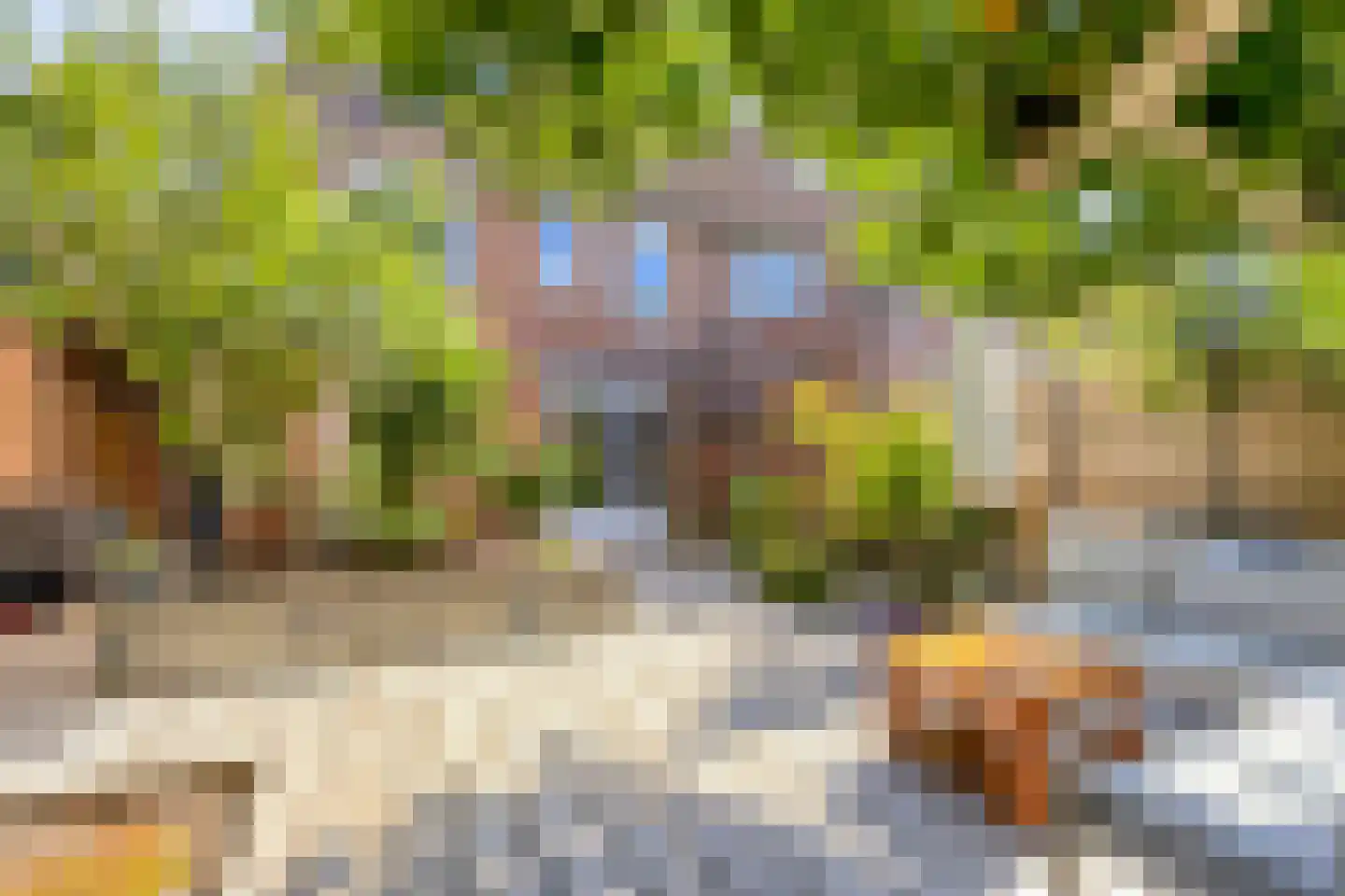 Kriekengaarde 58 Houten thumbnail 37