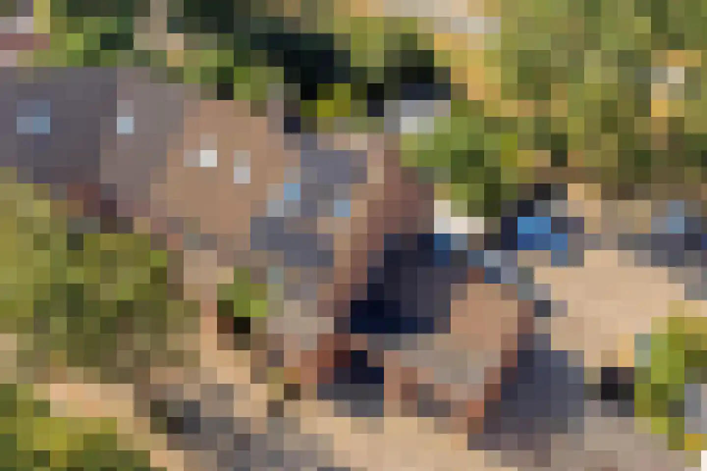 Kriekengaarde 58 Houten thumbnail 45