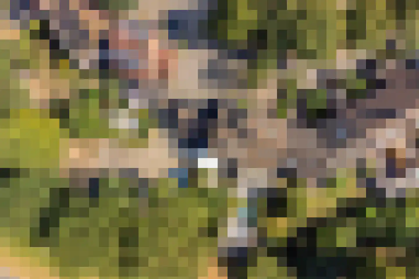 Kriekengaarde 58 Houten thumbnail 46