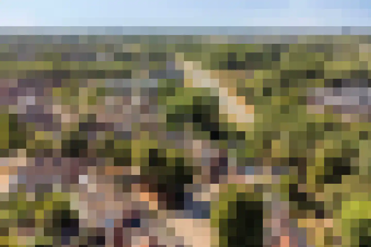 Kriekengaarde 58 Houten thumbnail 47
