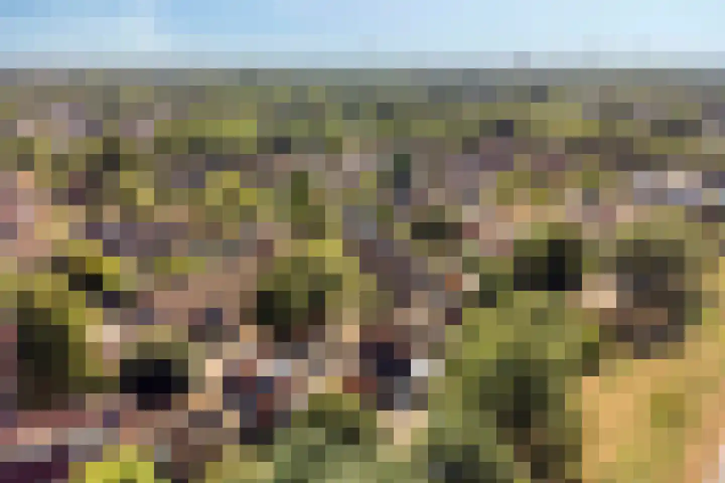 Kriekengaarde 58 Houten thumbnail 48