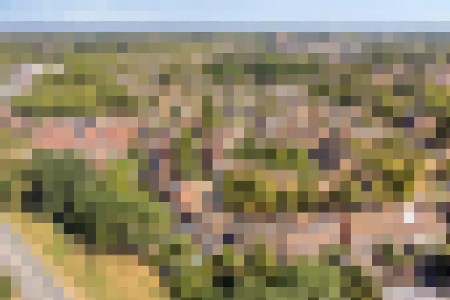 Kriekengaarde 58 Houten thumbnail 49