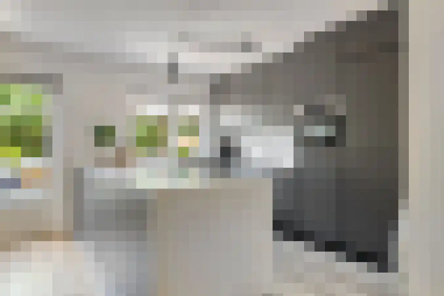 Kriekengaarde 58 Houten thumbnail 8