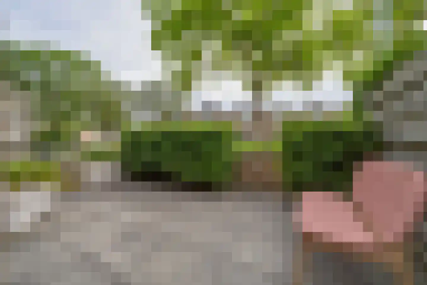 Kriekenhof 52 Middelburg thumbnail 16