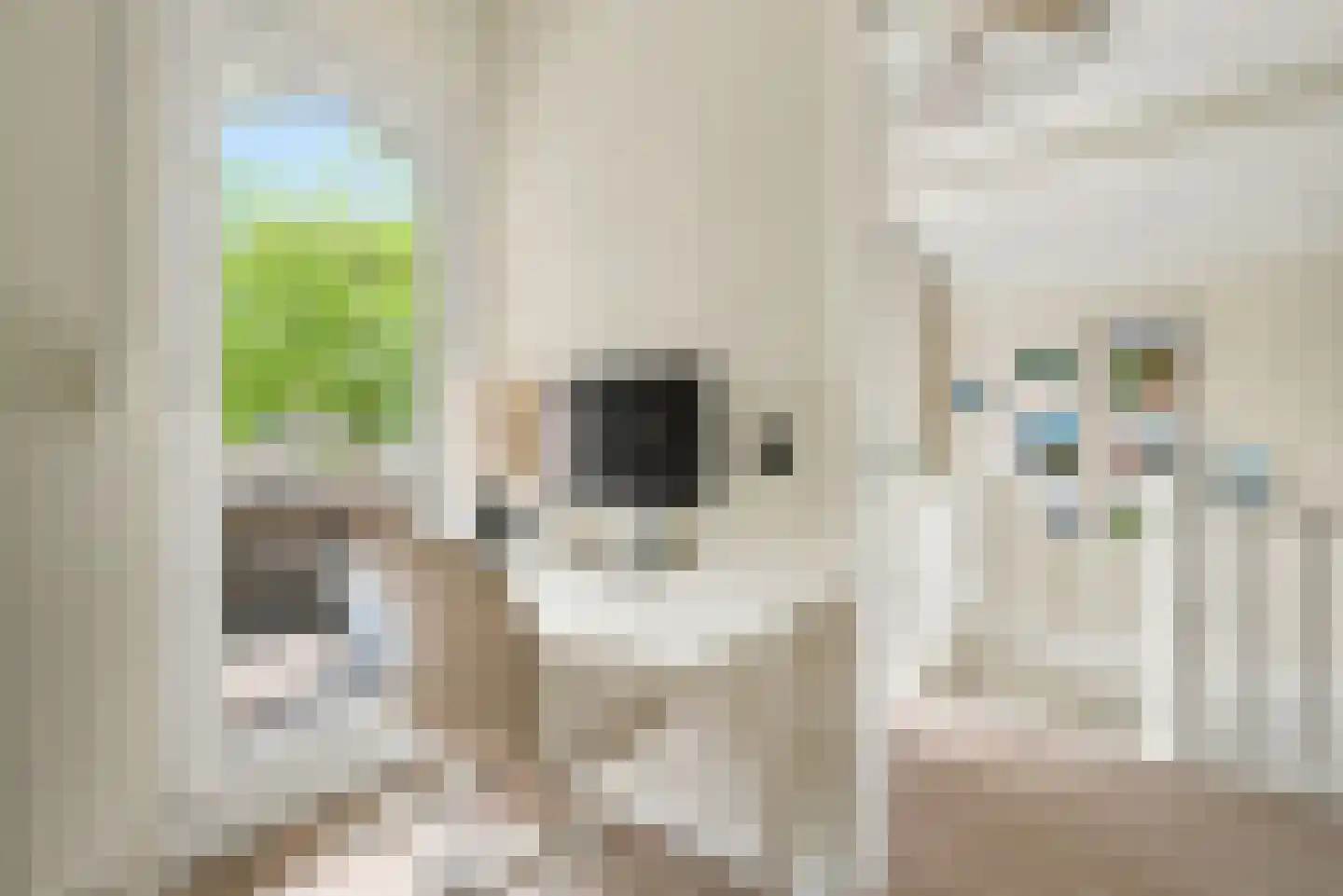 Kriekenhof 52 Middelburg thumbnail 18
