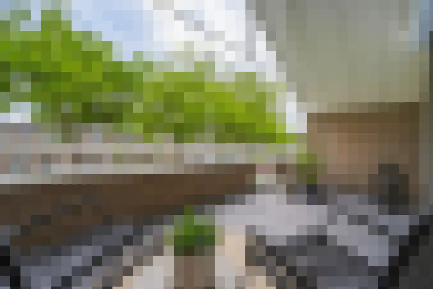 Kriekenhof 52 Middelburg thumbnail 24