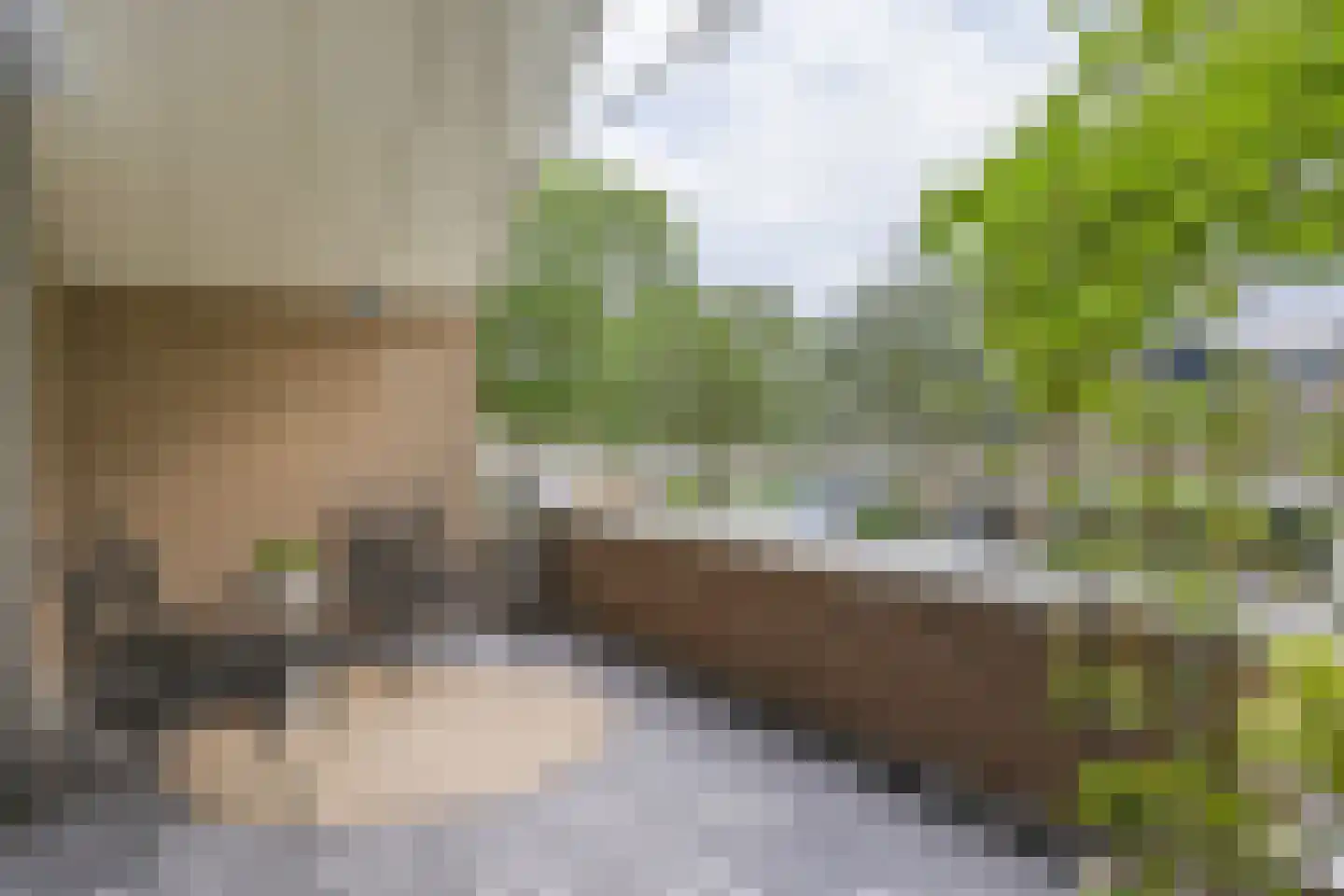 Kriekenhof 52 Middelburg thumbnail 4