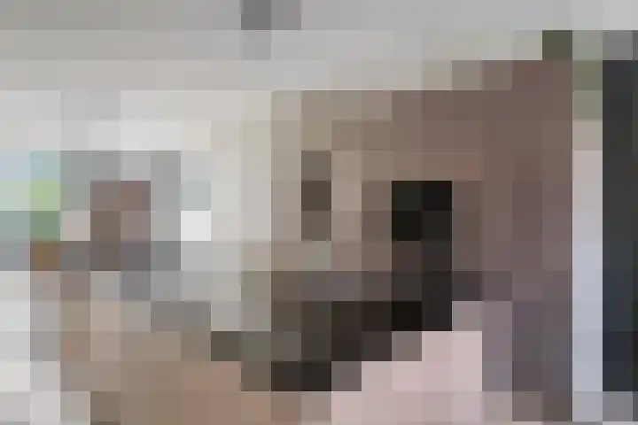 Kriekenstraat 12 Teteringen thumbnail 11