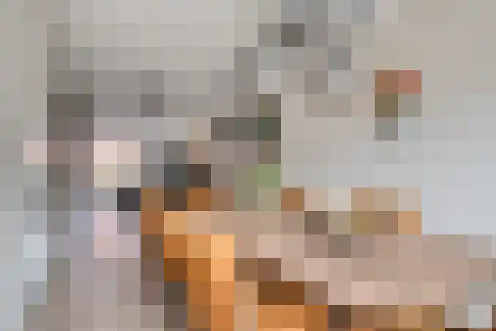 Kriekenstraat 12 Teteringen thumbnail 18
