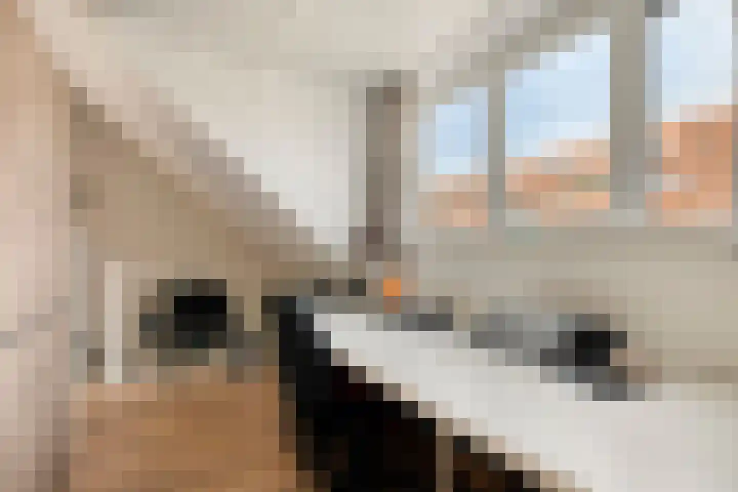 Kriekenstraat 16 Teteringen thumbnail 21