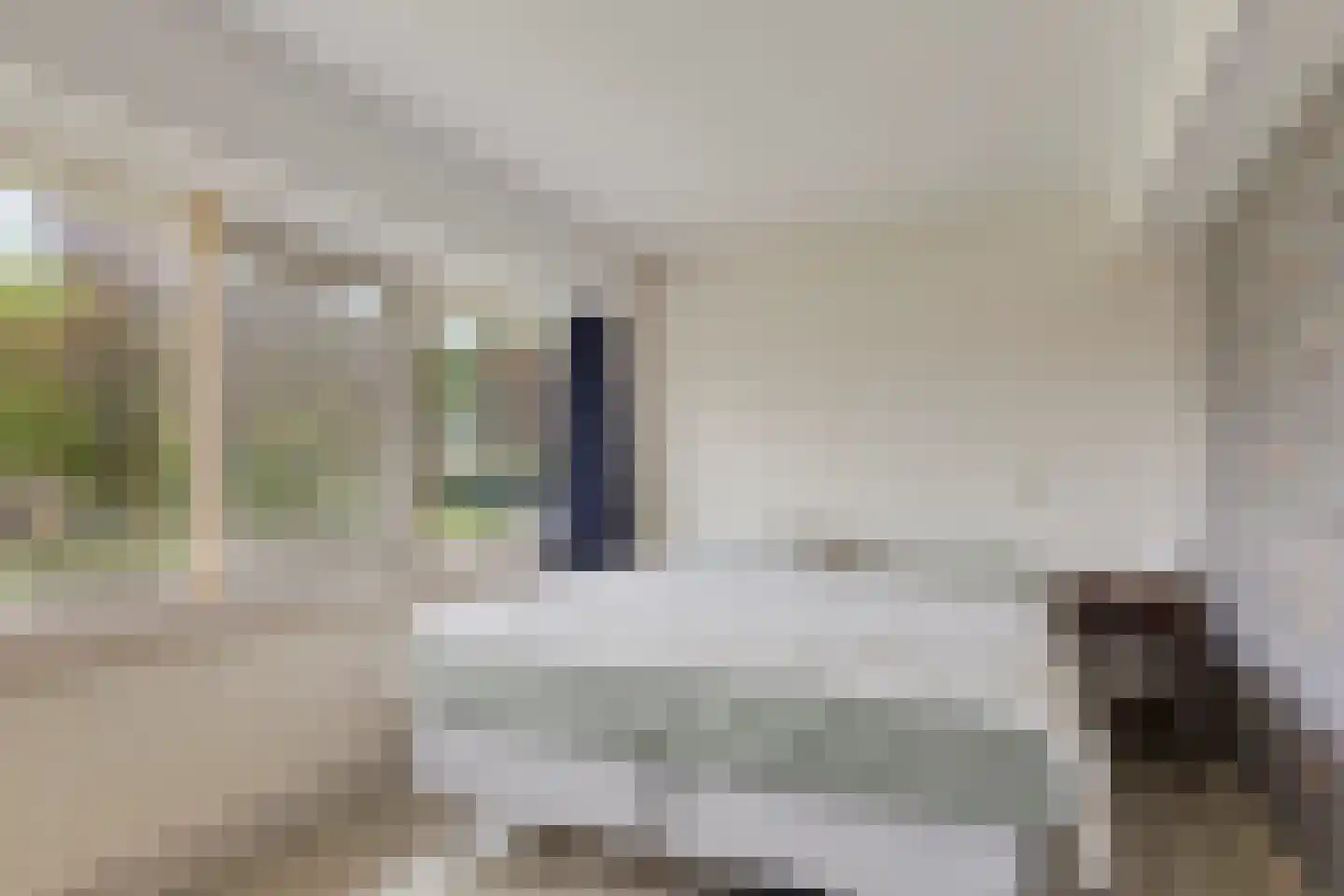 Kriekepitte 11 Kollum thumbnail 18