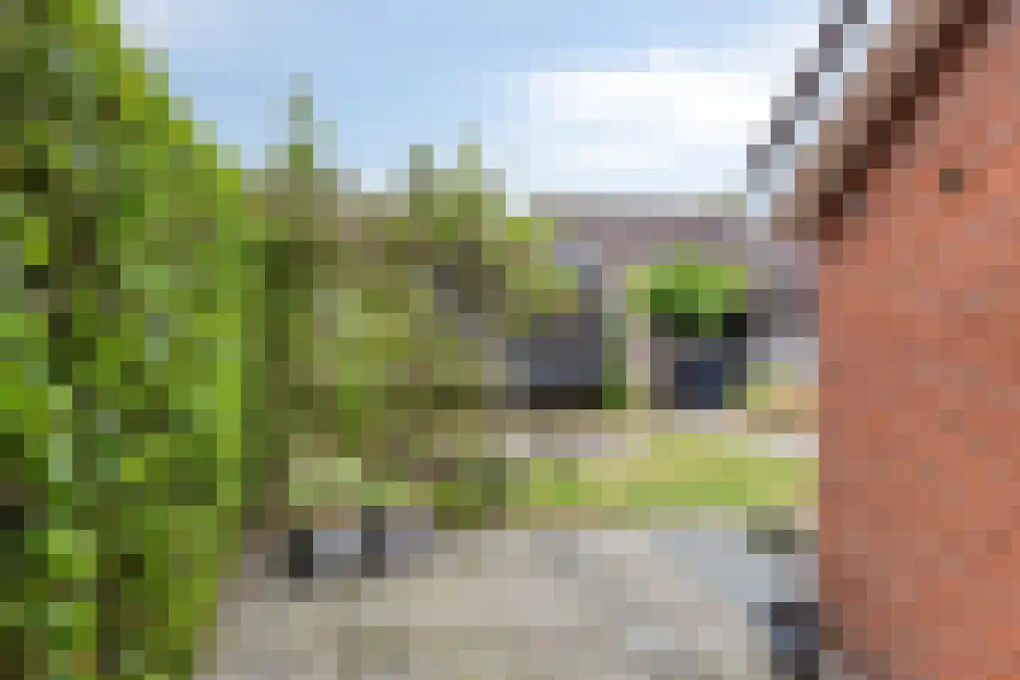 Kriekepitte 11 Kollum thumbnail 29