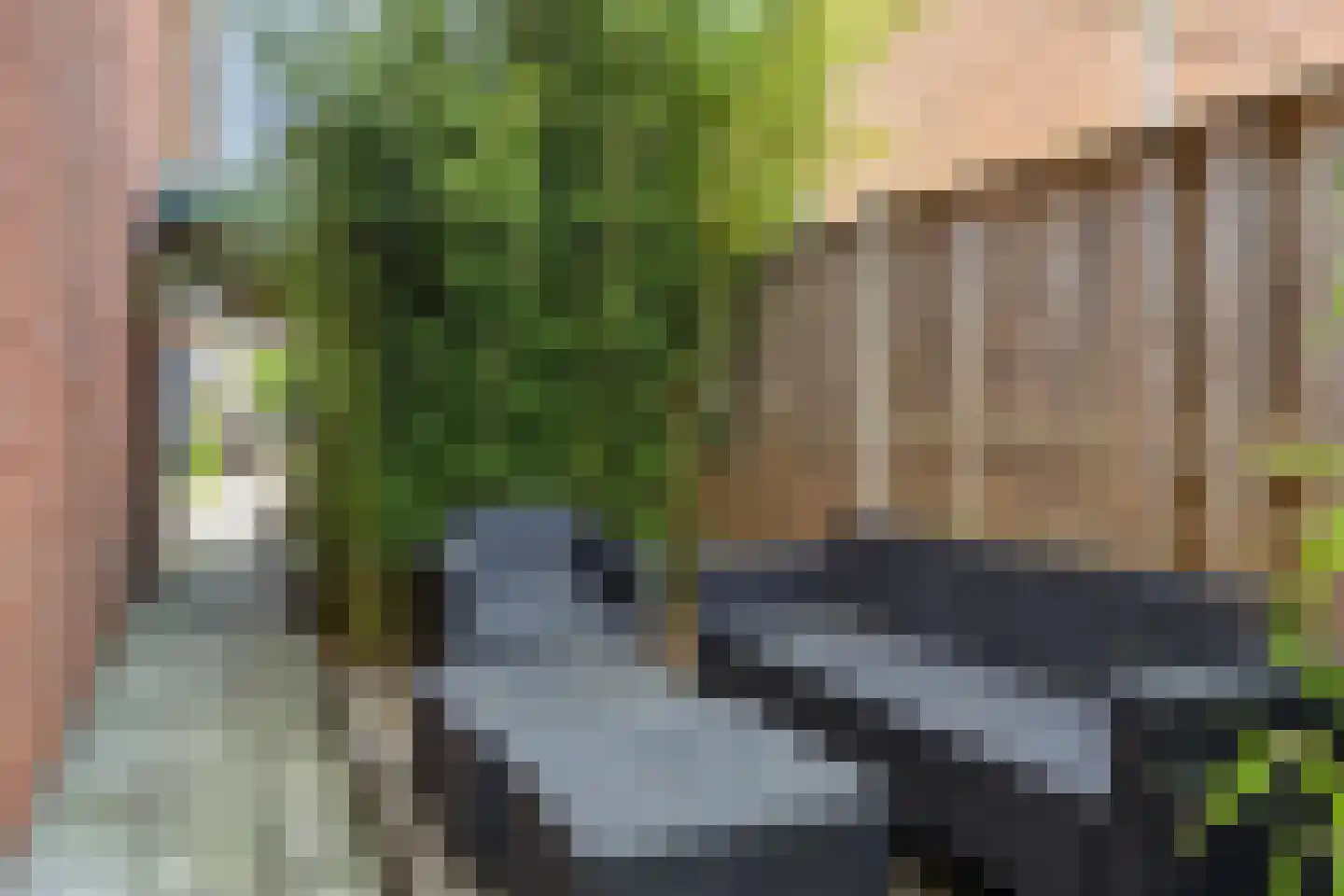 Kriekepitte 11 Kollum thumbnail 35