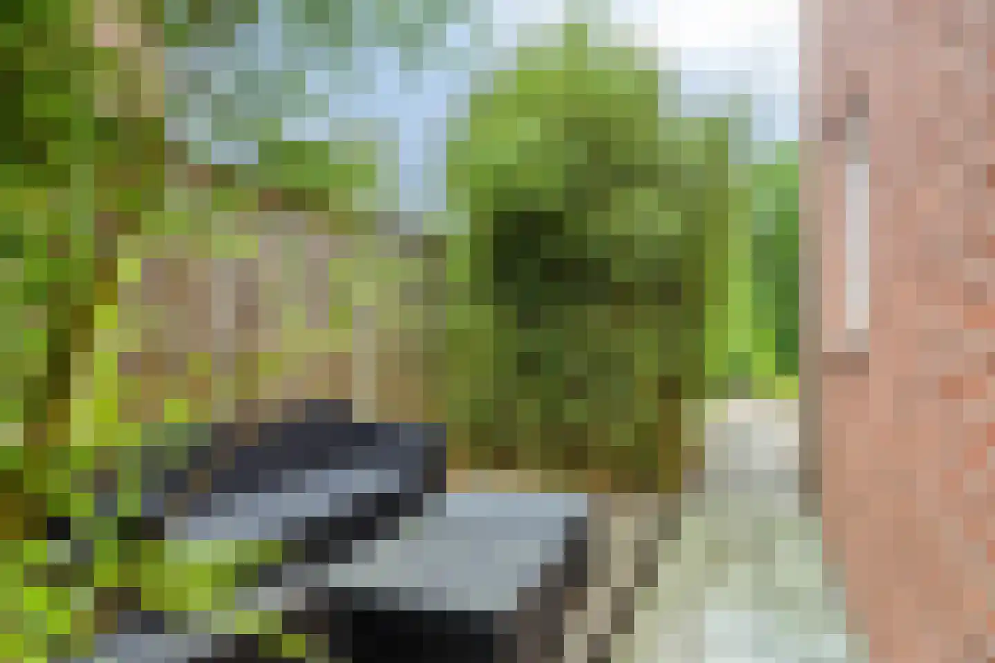 Kriekepitte 11 Kollum thumbnail 36