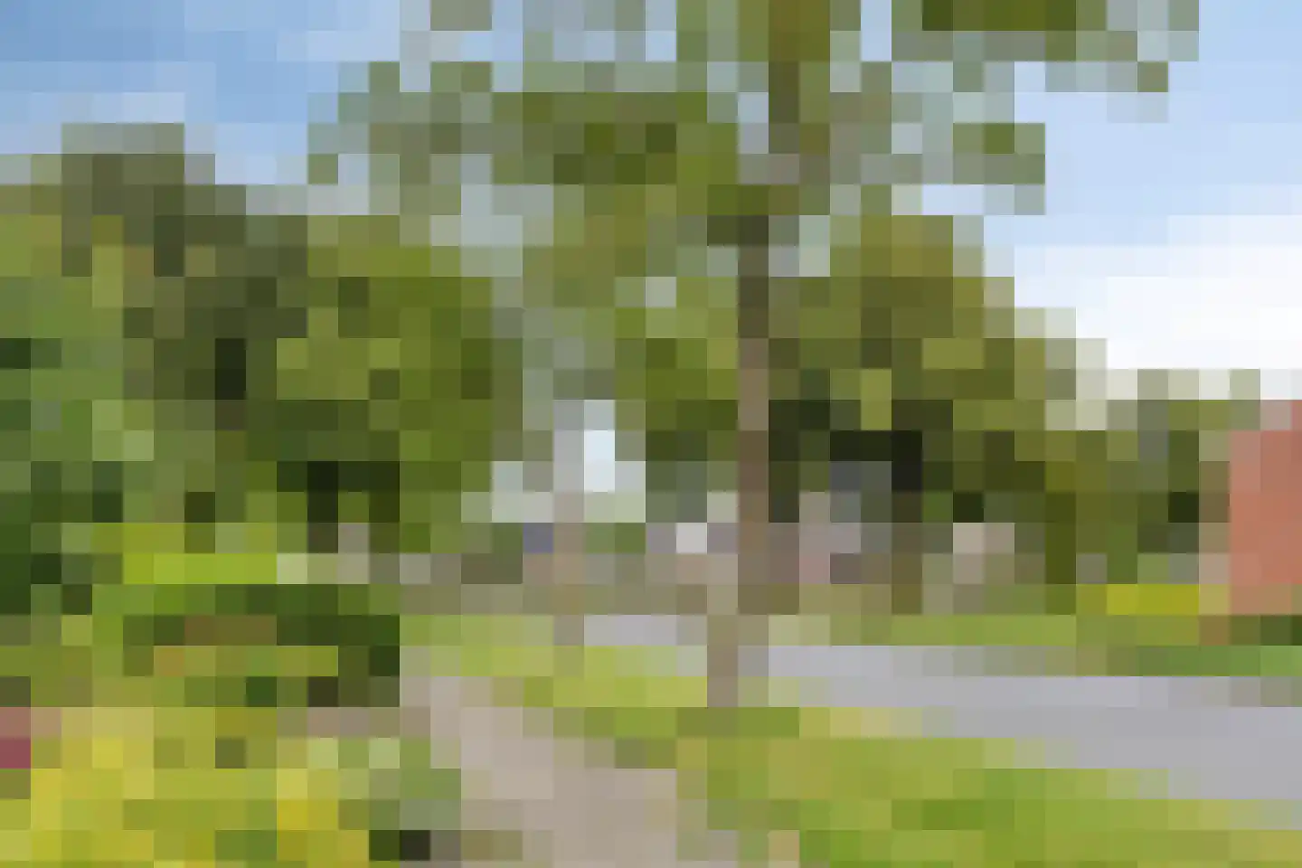 Kriekepitte 11 Kollum thumbnail 38