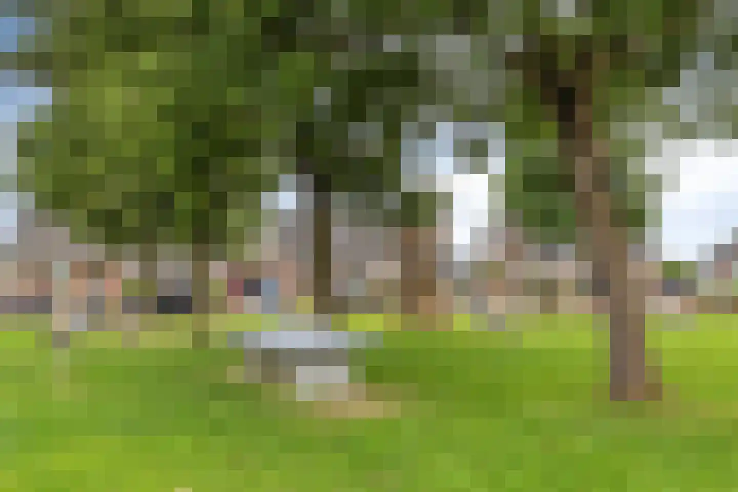 Kriekepitte 11 Kollum thumbnail 40