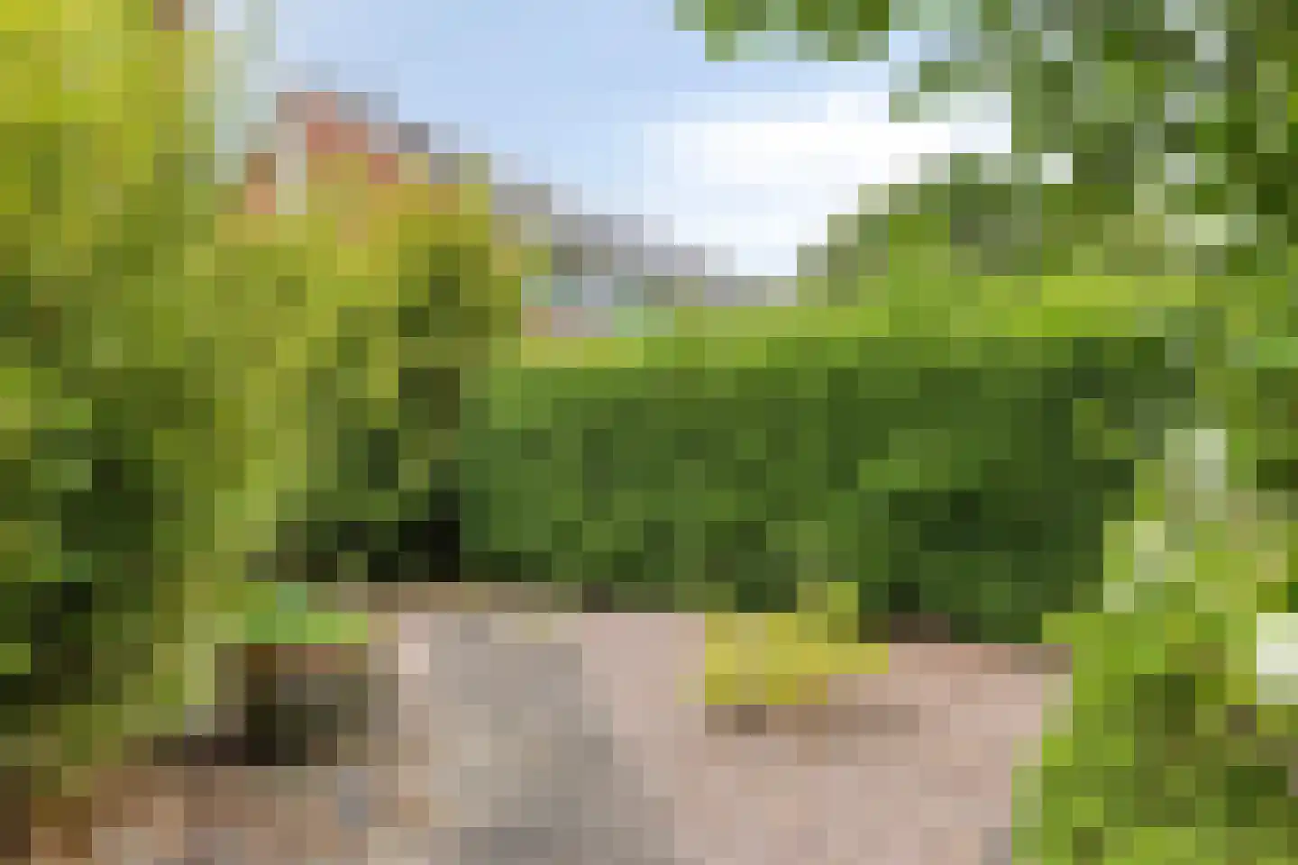 Kriekepitte 11 Kollum thumbnail 7