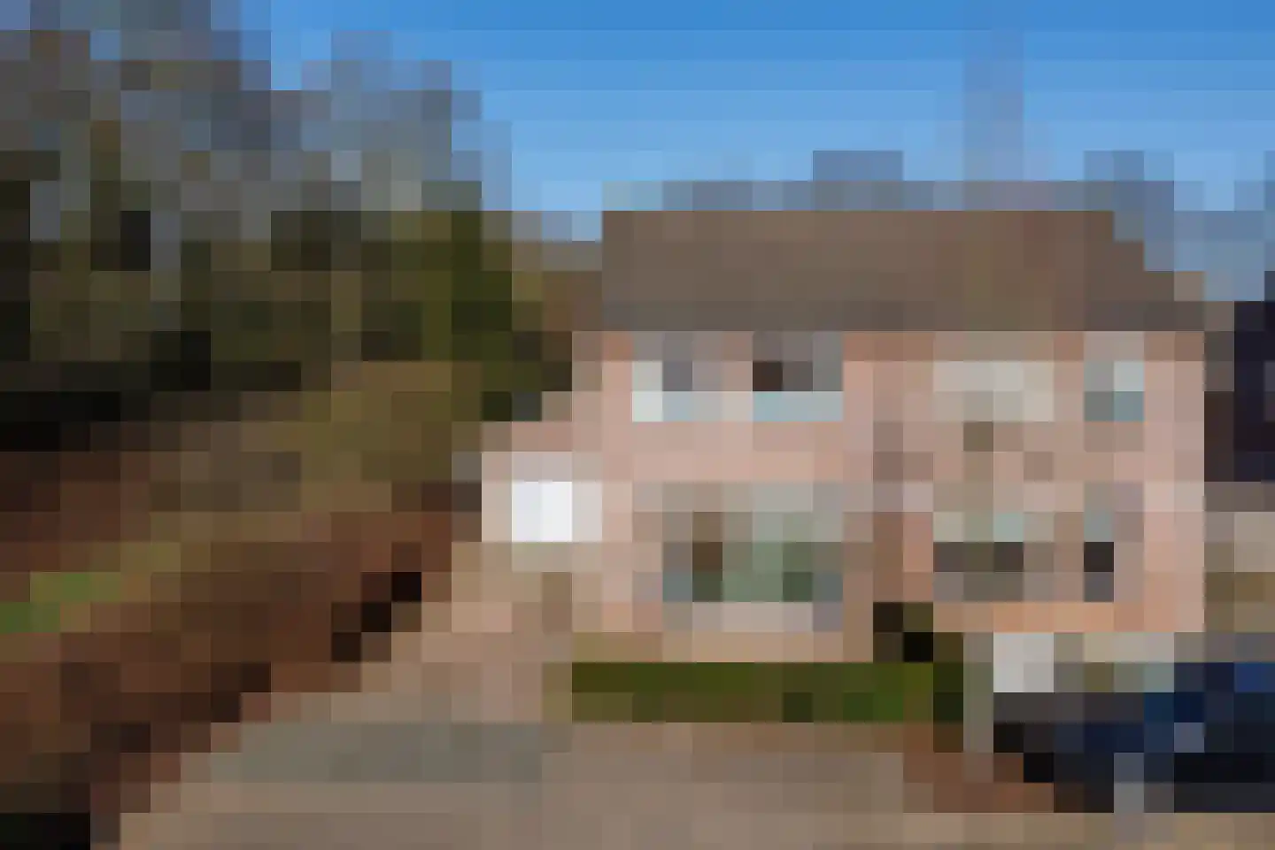 Kriekstraat 20 Bergen L thumbnail 51