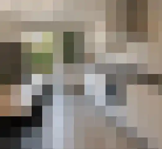 Krielerf Rotterdam thumbnail 4
