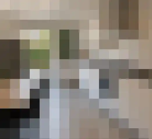 Krielerf Rotterdam thumbnail 8