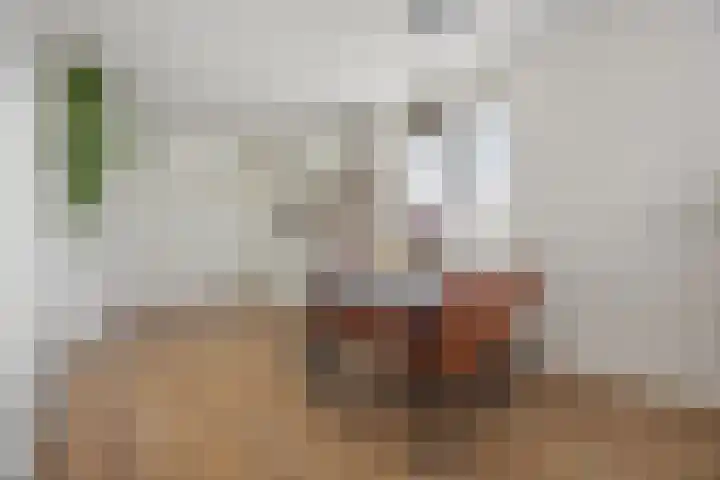 Kriezel 28 Vlijmen thumbnail 11