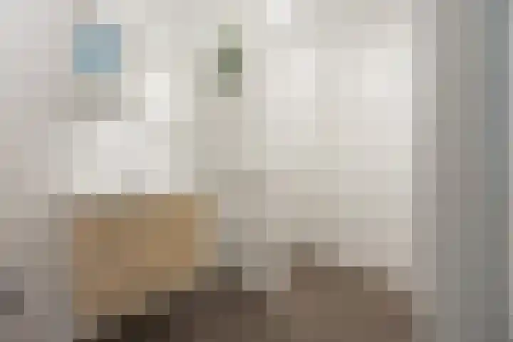 Kriezel 28 Vlijmen thumbnail 17