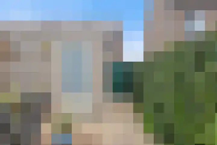 Kriezel 28 Vlijmen thumbnail 20