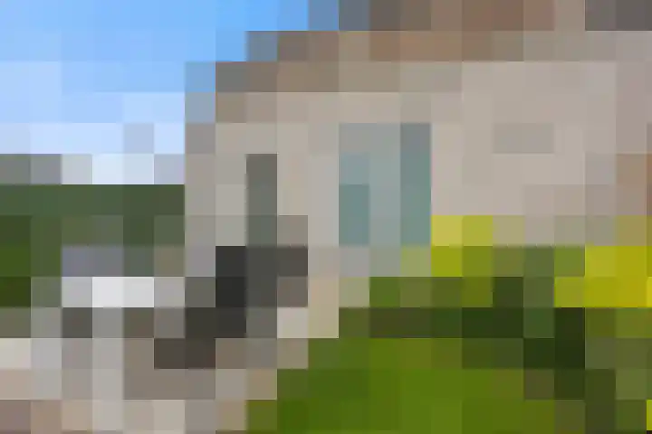 Kriezel 28 Vlijmen thumbnail 21