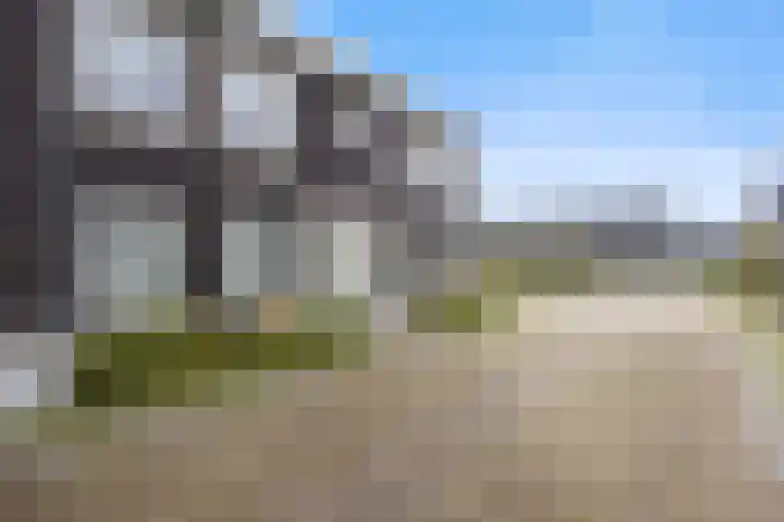 Kriezel 28 Vlijmen thumbnail 23