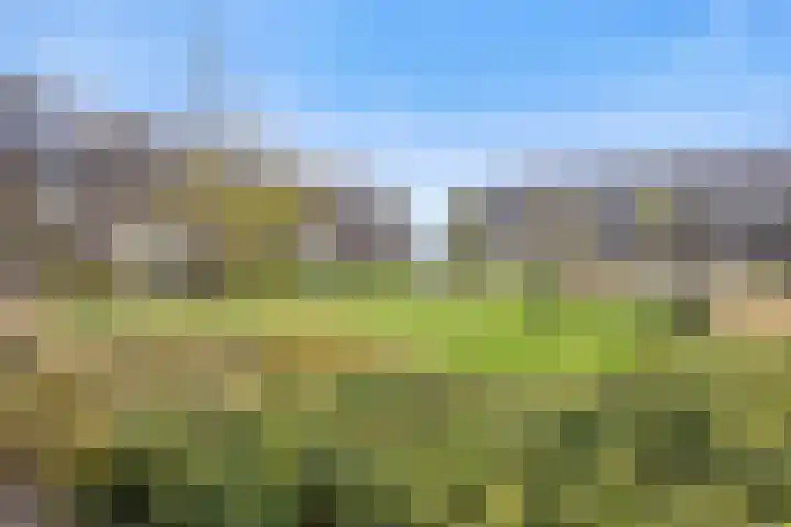 Kriezel 28 Vlijmen thumbnail 25