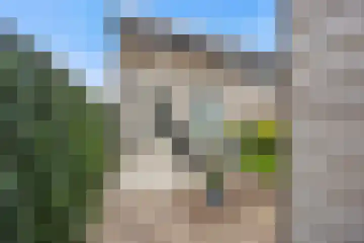 Kriezel 28 Vlijmen thumbnail 4