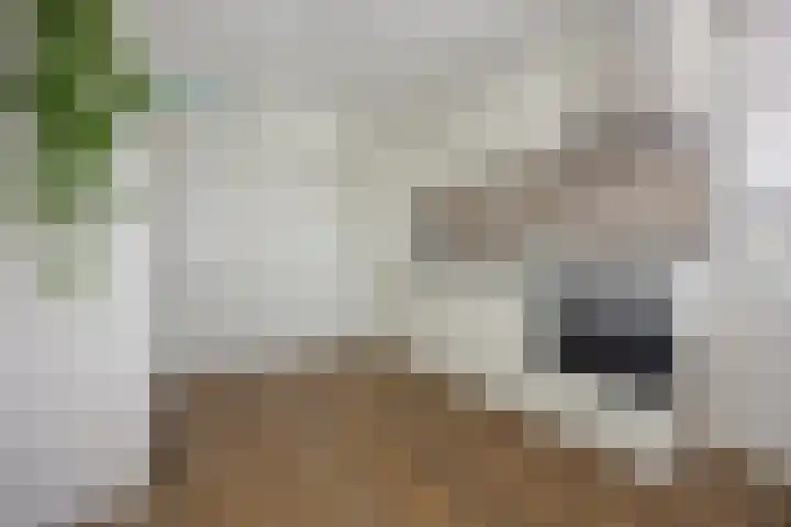 Kriezel 28 Vlijmen thumbnail 9