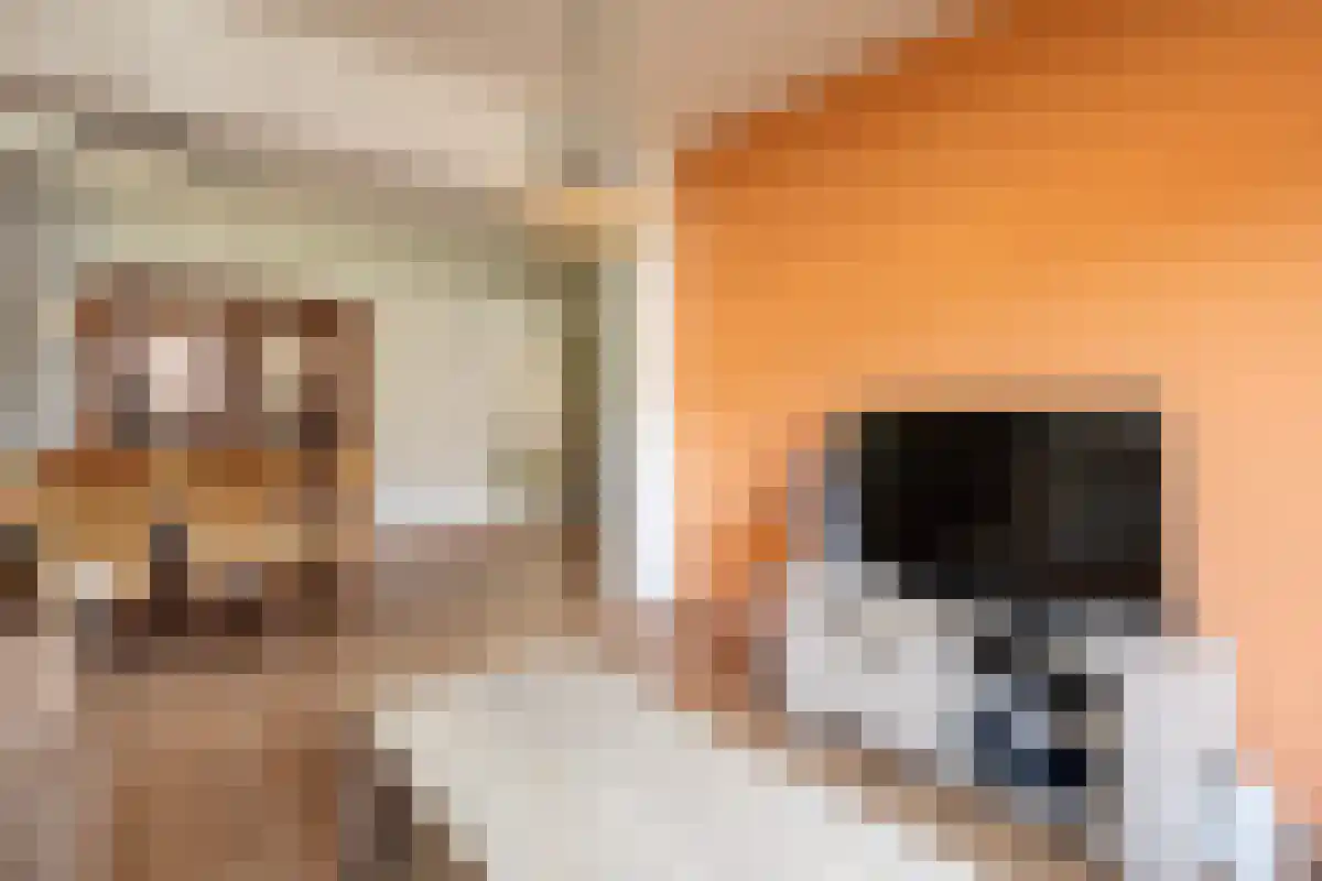 Krijgersberglaan 14 Landgraaf thumbnail 6